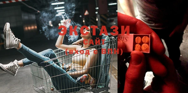 прущие грибы Абаза