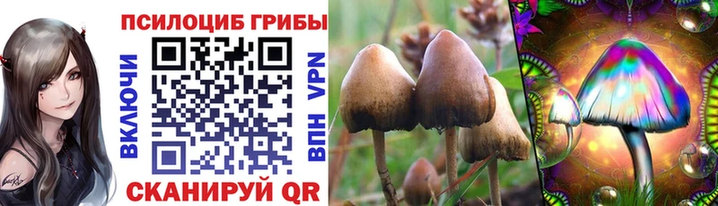 Псилоцибиновые грибы Cubensis  omg ссылки  даркнет телеграм  где найти   Среднеколымск 